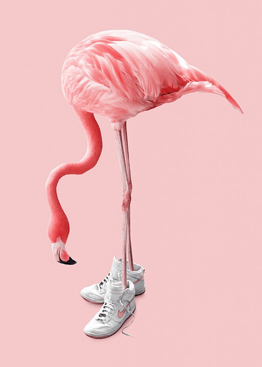 Sneaker Flamingo Plakat