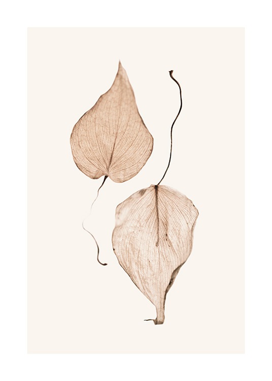  - Foto med to brune tørkede blader som ligger ved siden av hverandre mot beige bakgrunn