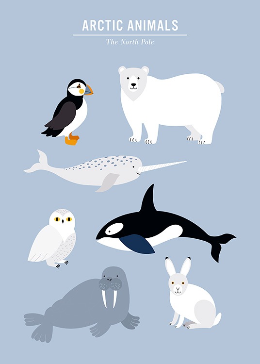  - Barneplakat med en grafisk illustrasjon i blått og med arktiske dyr