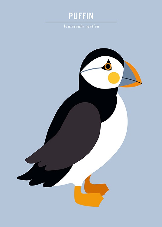  - Grafisk illustrasjon i blått med en lundefugl og teksten Puffin Fratercula arctica
