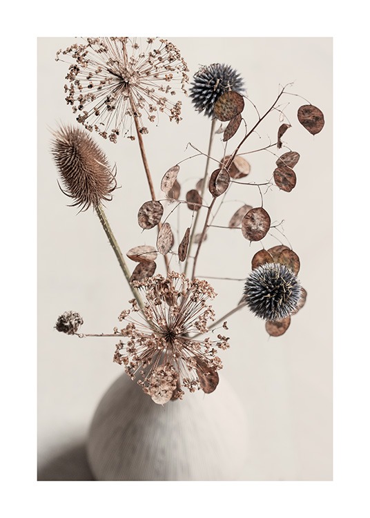  - Botanisk plakat med fotografi av en bukett brune, tørkede blomster i en beige vase 