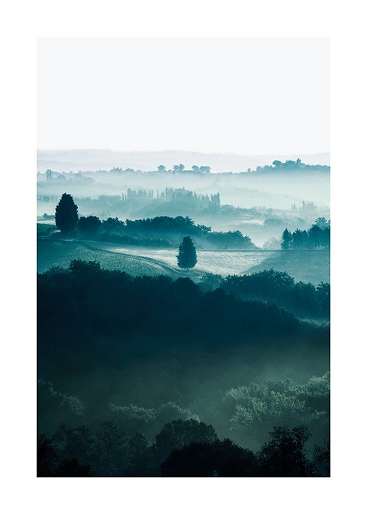  - Naturfotografi av trær på jorder i Toscana, dekt av tåke