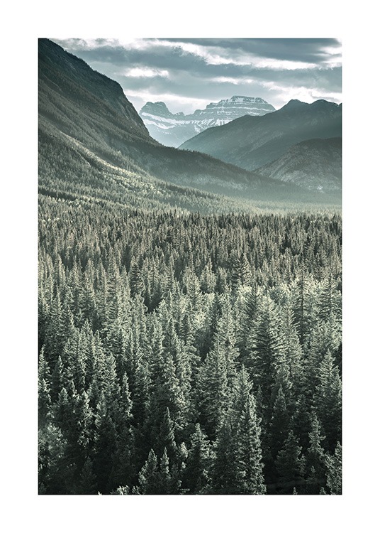 Rocky Mountains Forest Plakat / Naturmotiv hos Desenio AB (13592)