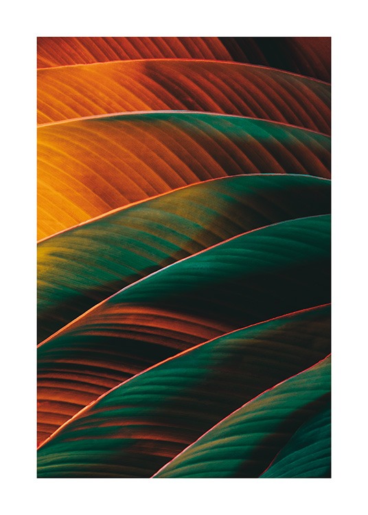 Retro Palm Leaf Plakat