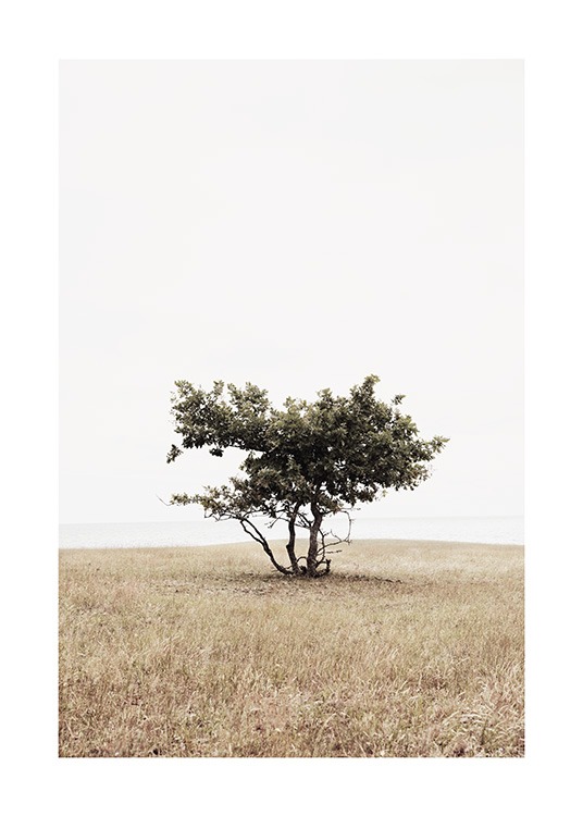The Tree Plakat / Naturmotiv hos Desenio AB (13643)