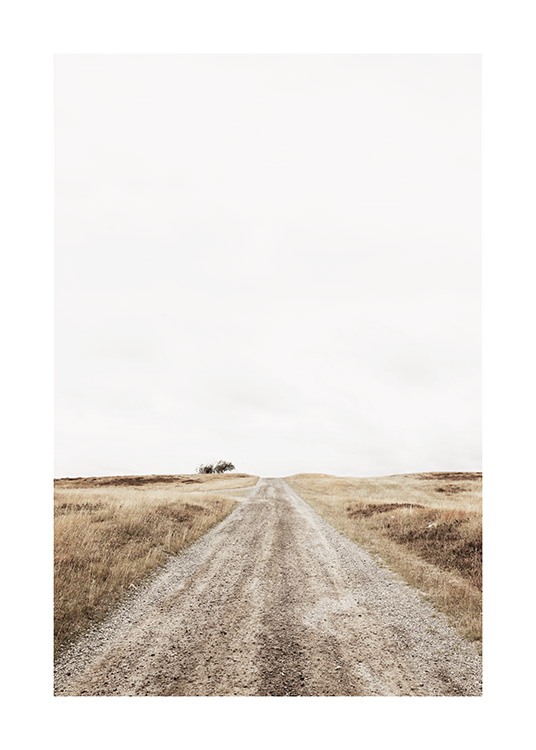 Lonely Road Plakat / Landskap hos Desenio AB (13644)