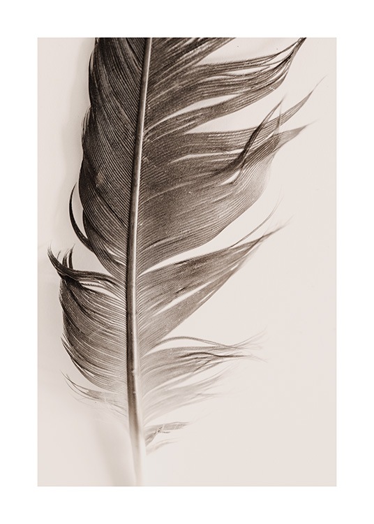 Feather Beige Plakat / Naturmotiv hos Desenio AB (13646)