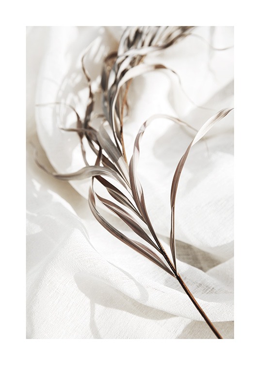 Delicate Palm Leaves No1 Plakat