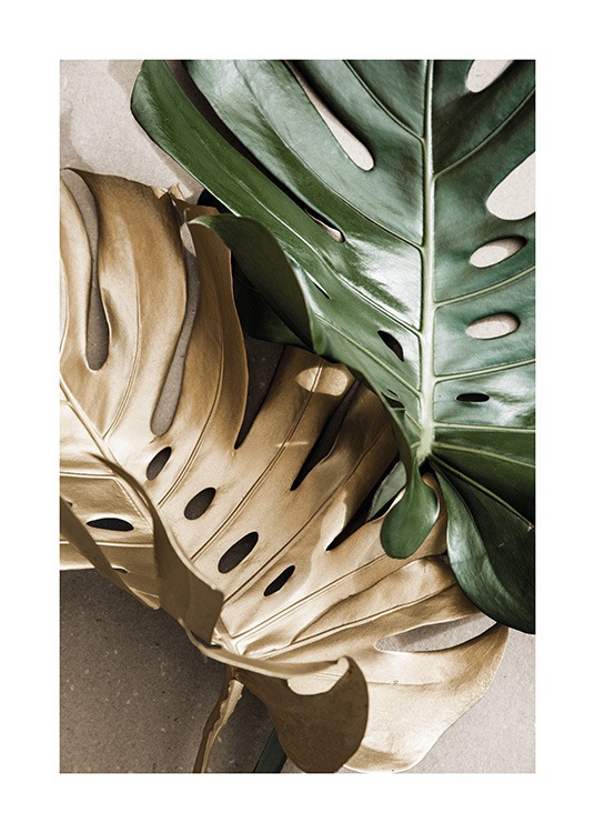 Gold Monstera No2 Plakat
