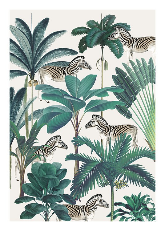 Royal Botanical Zebras Plakat / Ville dyr hos Desenio AB (13734)