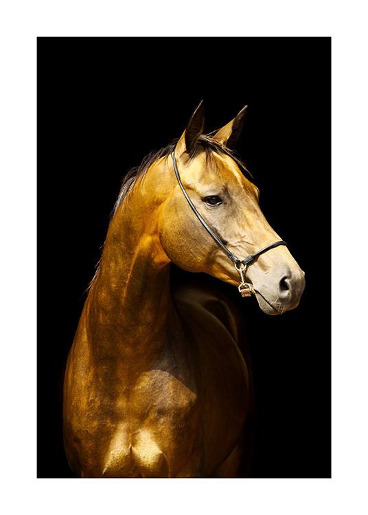 Glowing Horse Plakat