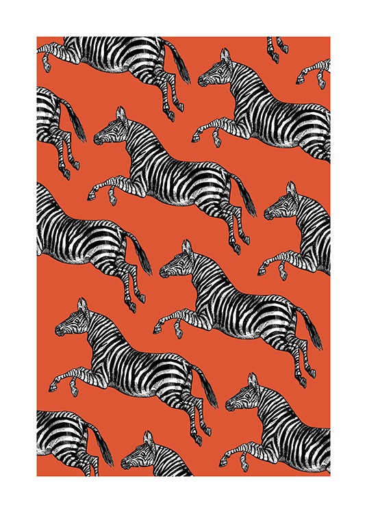 Vintage Zebras Plakat / Insekter & dyr hos Desenio AB (13787)