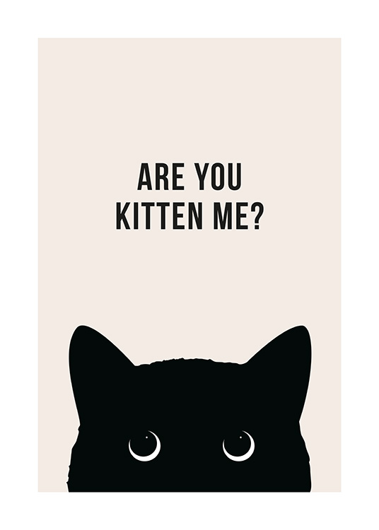 Are You Kitten Me? Plakat