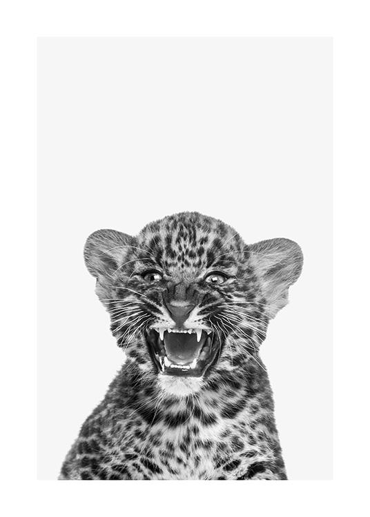 Baby Leopard Plakat / Insekter & dyr hos Desenio AB (13858)
