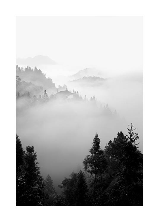  – Svarthvitt-fotografi av et tåkete skogslandskap i fjellet