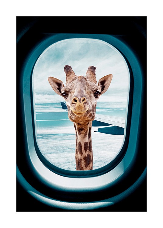  - Fotografi av en nysgjerrig giraff som ser ut gjennom vinduet på et fly