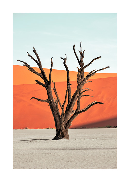  - Fotografi av et brunt tre som står i ørkenen foran en blå himmel og røde sanddyner