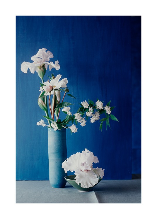  – Fotografi av en blå vase med hvite blomster, med en mørkeblå vegg i bakgrunnen