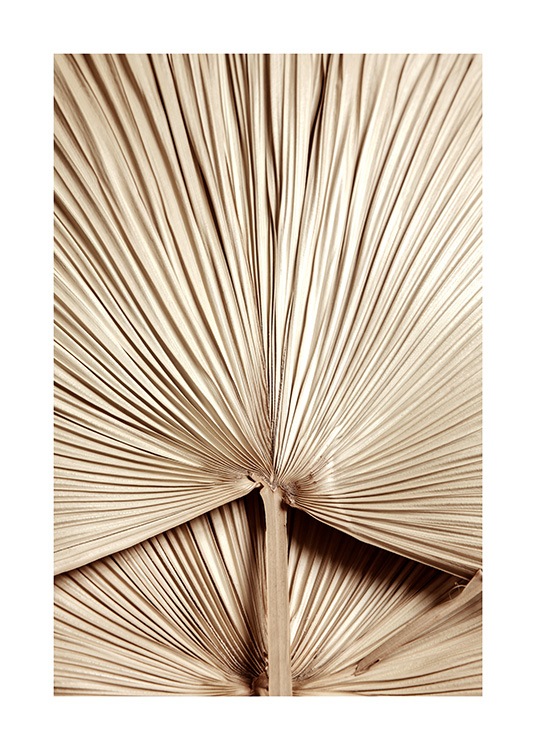 Golden Palm Leaf No2 Plakat