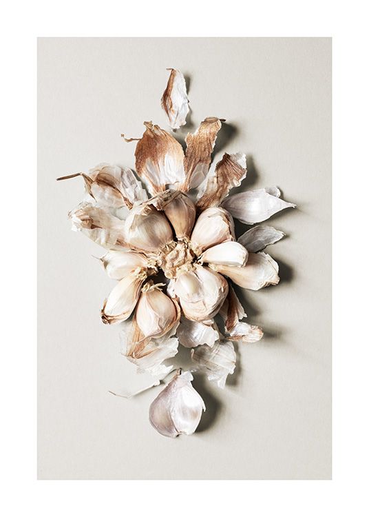  – Fotografi av hvitløk formet som en stor blomst, mot en beige bakgrunn
