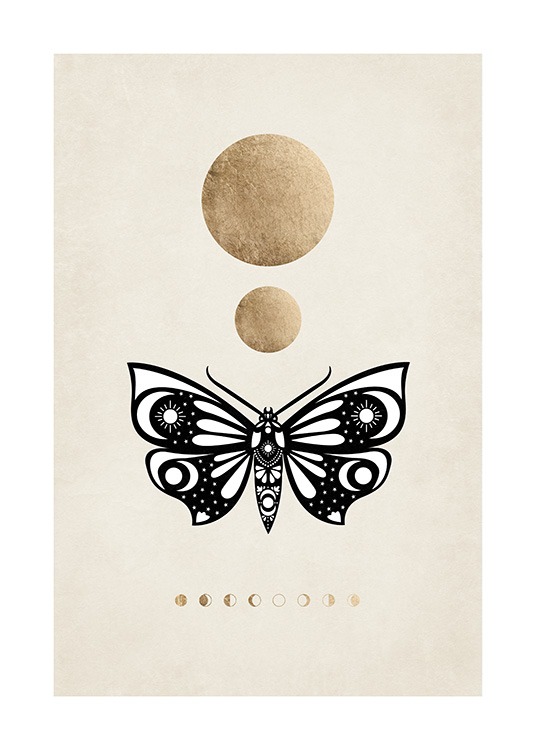 Moon Phases Moth Plakat