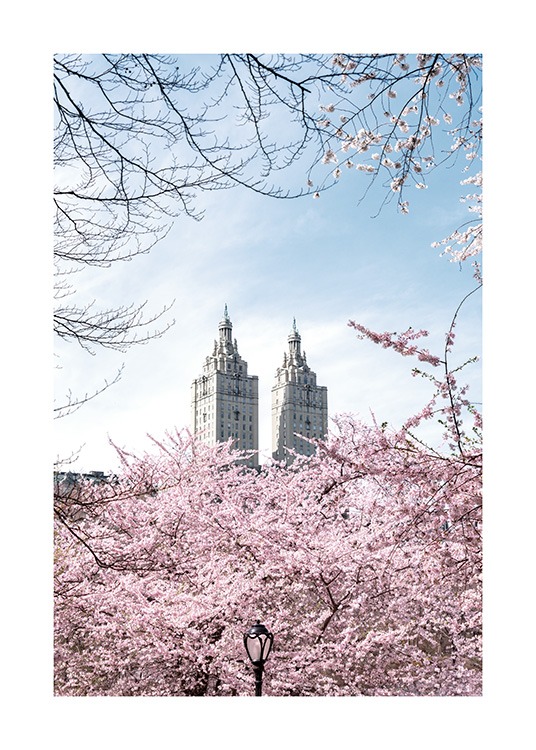  – Fotografi av kirsebærtrær foran to tårn, med blå himmel bak