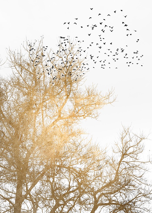 – Grafisk illustrasjon av svarte fugler og et gyllent tre mot en hvit bakgrunn