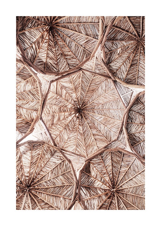  – Fotografi av sirkler laget av organisk materiale i et tak