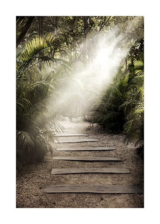  – Fotografi av palmeblader som rammer inn en sti i sollyset
