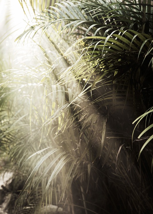  – Fotografi av sollys som skinner på grønne palmeblader