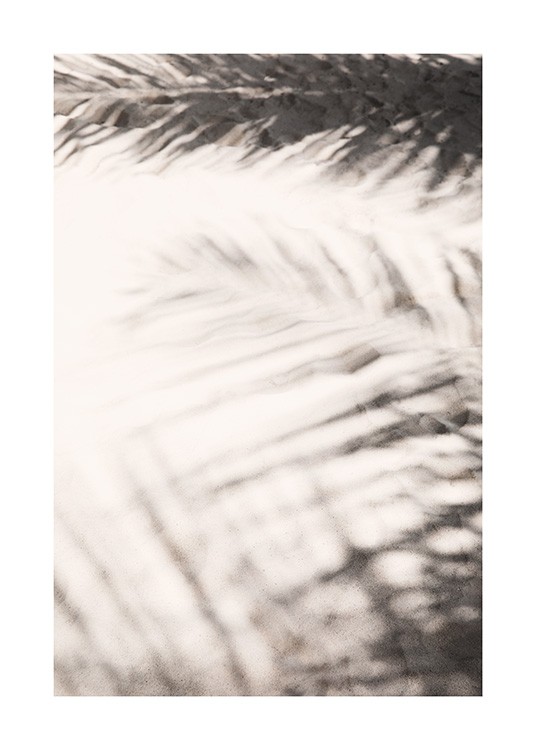  – Fotografi av skygger fra palmeblader på beige sand
