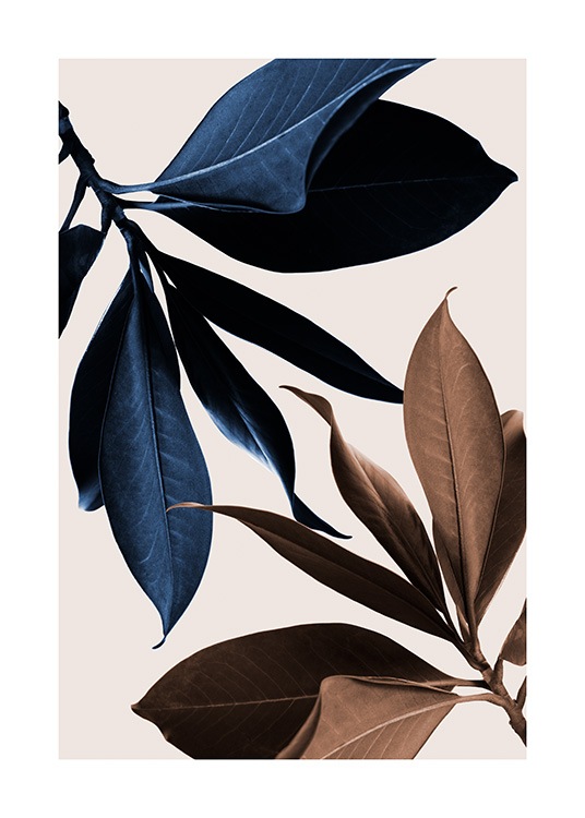  – Fotografi av brune og blå magnoliablader mot en beige bakgrunn