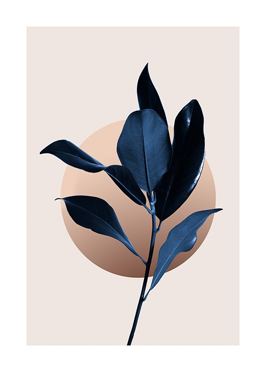  – Mørkeblå magnoliablader med en grafisk illustrert sirkel bak, mot en beige bakgrunn
