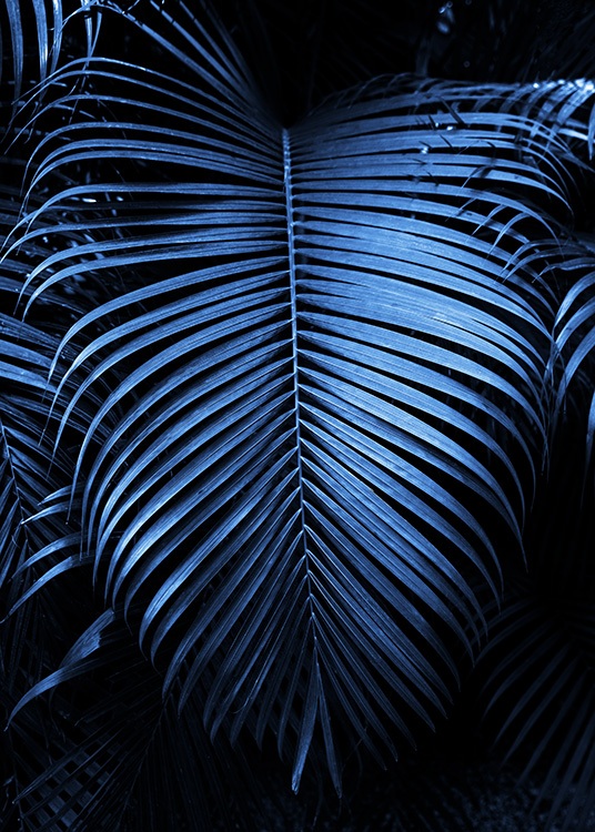  – Fotografi av et stort, mørkeblått palmeblad