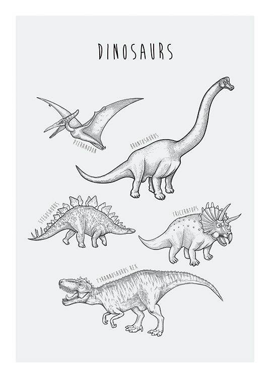  – Håndtegnet illustrasjon av forskjellige dinosaurer mot en blågrønn bakgrunn