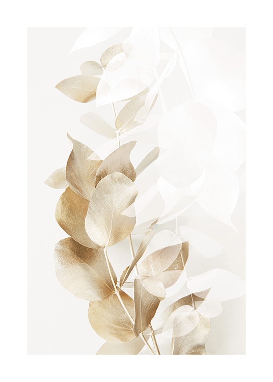  – Fotografi av eukalyptusgreiner i gull og hvitt mot en lys beige bakgrunn