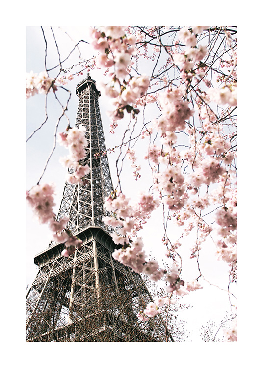  – Fotografi av et tre med rosa kirsebærblomster foran Eiffeltårnet