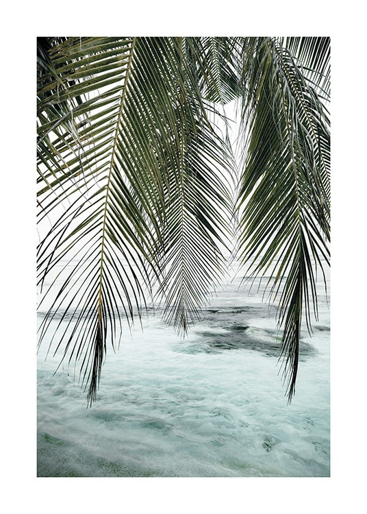  – Fotografi av en bukett grønne palmeblader som henger ned, med et klart, blått hav i bakgrunnen