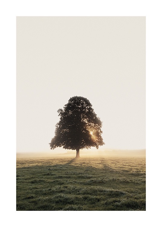 Misty Meadow Tree Plakat