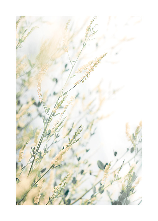  – Fotografi av en bukett små, gule blomster med grønne blader mot en hvit bakgrunn