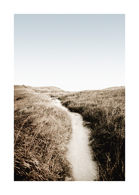  – Fotografi av gress som omgir en sti av sand, med blå himmel i bakgrunnen