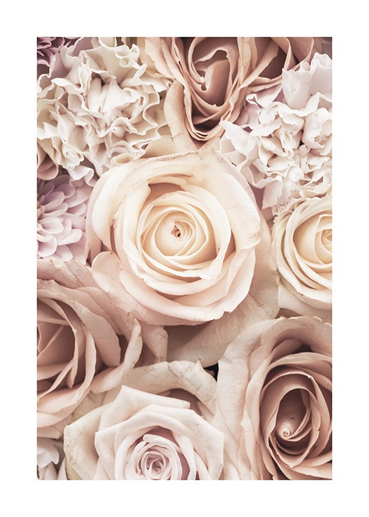  – Fotografi av rosa roser og nelliker
