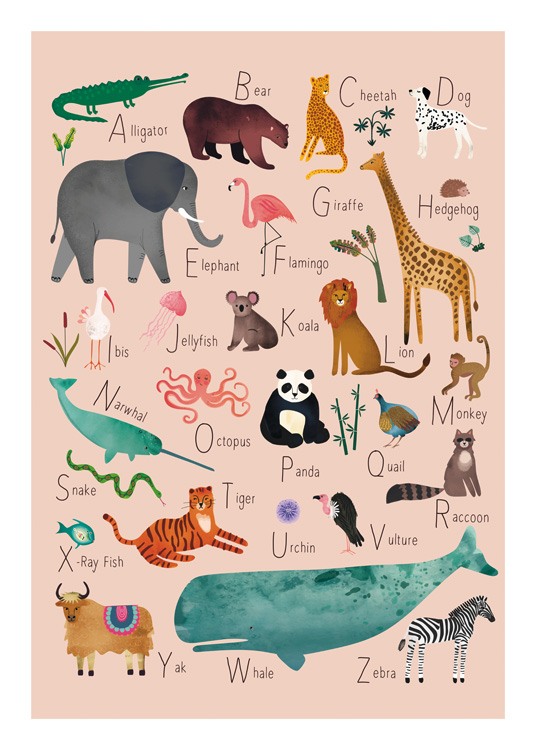  – Illustrasjon av dyr med navn som starter med hver bokstav i alfabetet