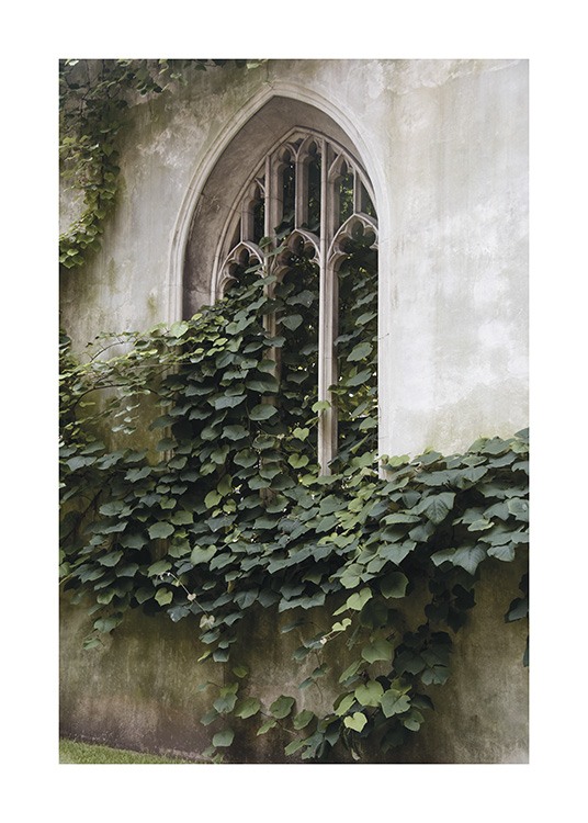  – Fotografi av blader foran et buet vindu
