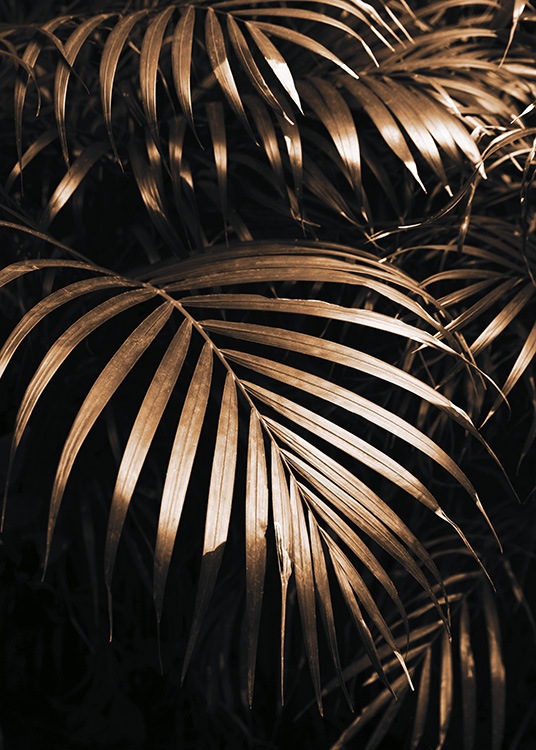  – Fotografi av gylne palmeblader mot en svart bakgrunn