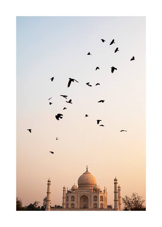  – Fotografi av en flokk med fugler som flyr, med Taj Mahal og en pastellfarget himmel i bakgrunnen