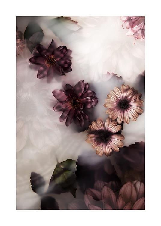  – Fotografier av rosa og mørk lilla blomster som flyter i et melkebad