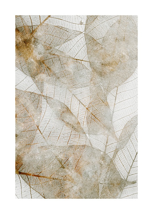  – Fotografi av beige og gylne abstrakte blader