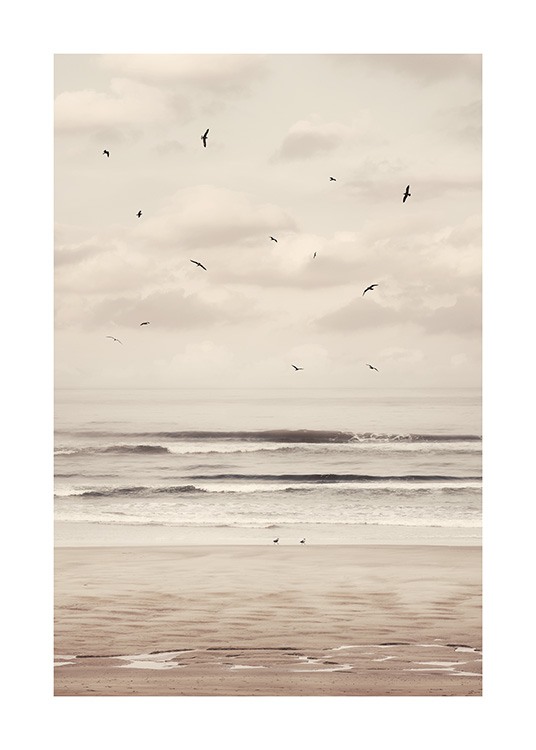  – Fotografi av en strand og et hav, med svarte fugler som flyr foran en overskyet himmel