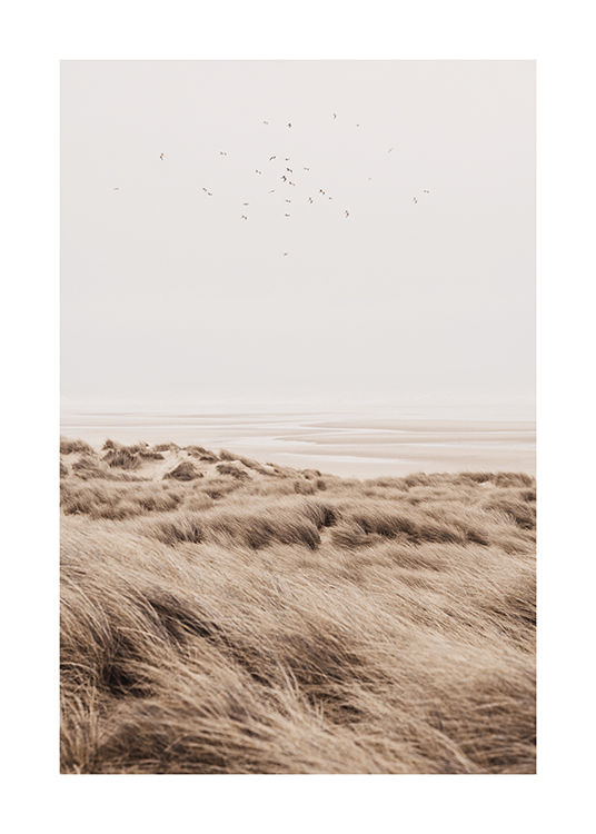  – Fotografi av fugler som flyr over sanddyner med gress